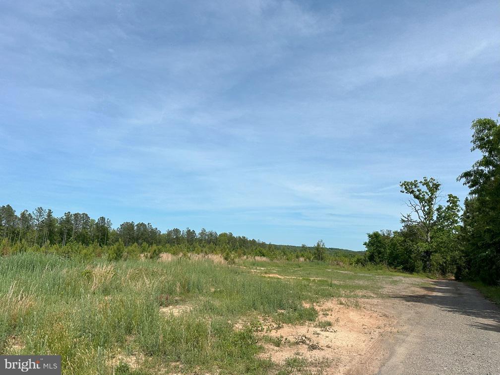 WEST RIVER ROAD (TRACT: JR C.B. MOON-2), SCOTTSVILLE, Virginia 24590, ,Farm,WEST RIVER ROAD (TRACT: JR C.B. MOON-2),VAFN2000638 MLS # VAFN2000638