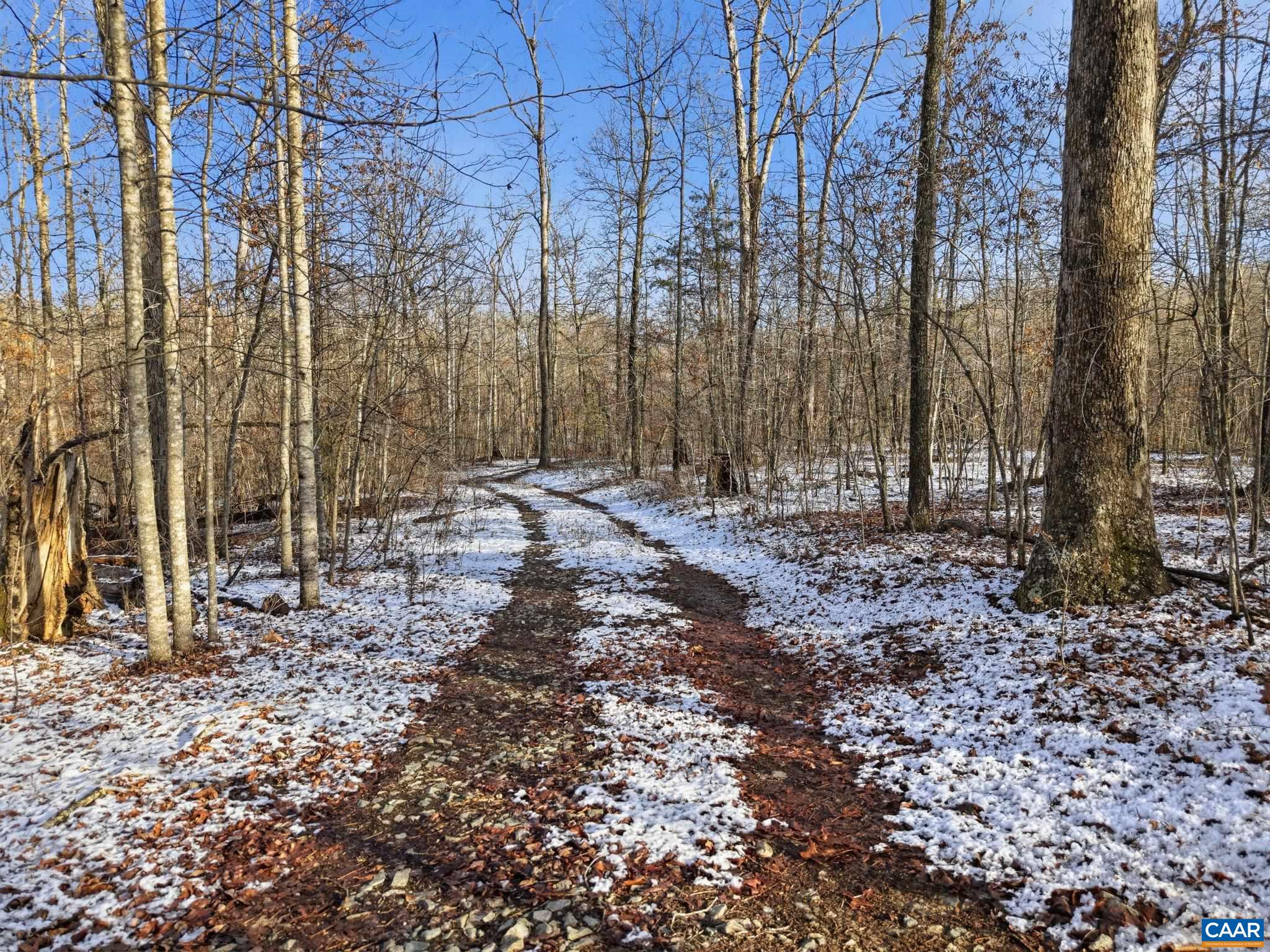 0 JUSTICE DR, GORDONSVILLE, Virginia 22942, ,Land,Tranquility,0 JUSTICE DR,674397 MLS # 674397 0 JUSTICE DR, GORDONSVILLE, Virginia 22942, ,Land,Tranquility,0 JUSTICE DR,674397 MLS # 674397