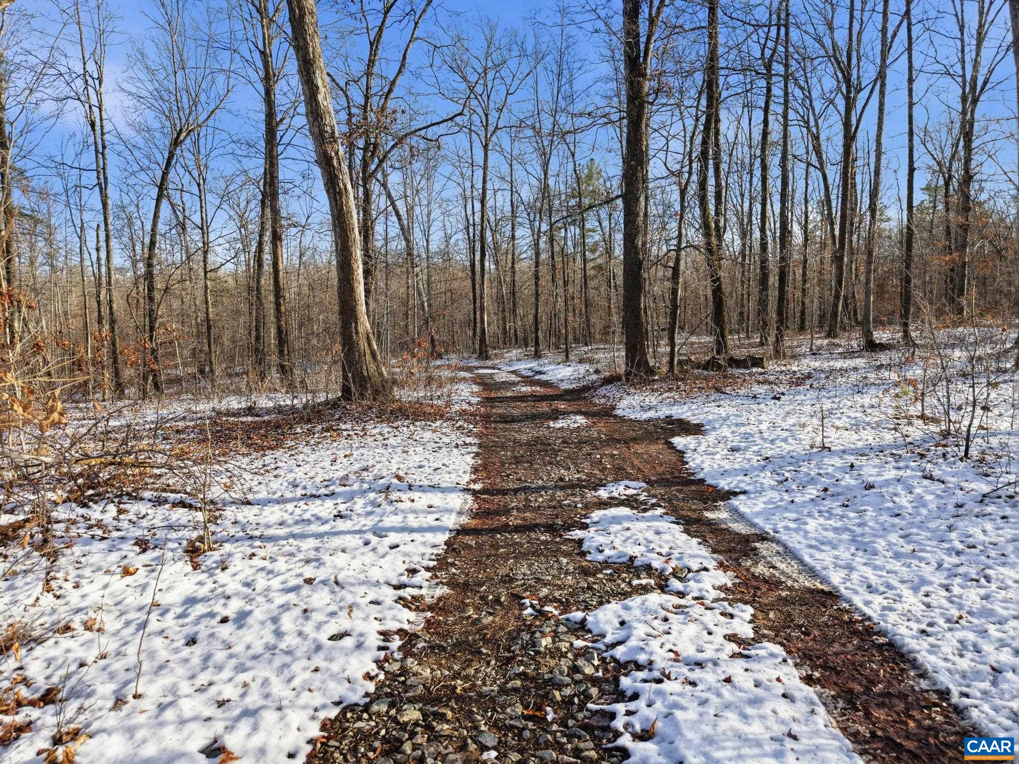 0 JUSTICE DR, GORDONSVILLE, Virginia 22942, ,Land,Tranquility,0 JUSTICE DR,674397 MLS # 674397 0 JUSTICE DR, GORDONSVILLE, Virginia 22942, ,Land,Tranquility,0 JUSTICE DR,674397 MLS # 674397