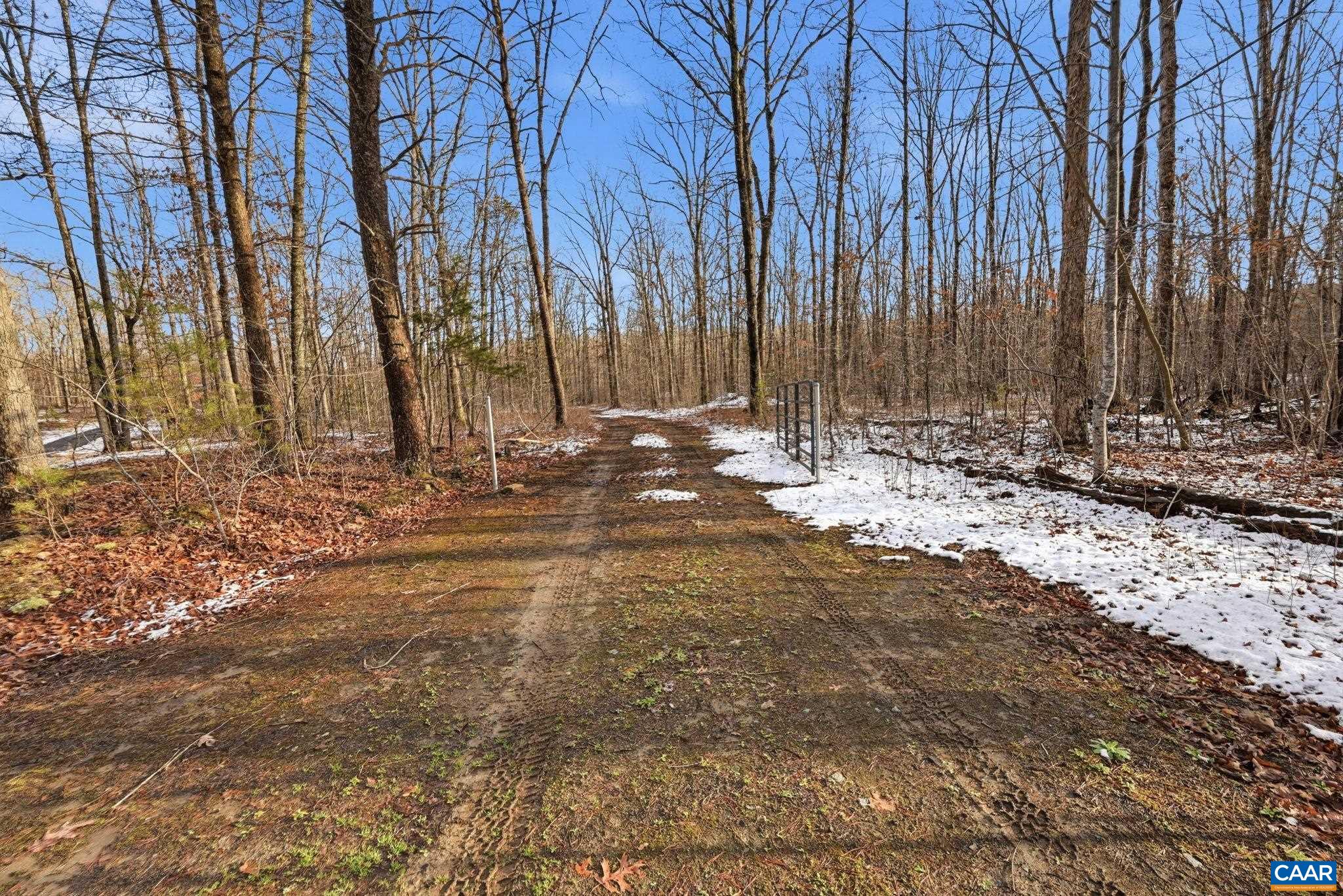 0 JUSTICE DR, GORDONSVILLE, Virginia 22942, ,Land,Tranquility,0 JUSTICE DR,674397 MLS # 674397 0 JUSTICE DR, GORDONSVILLE, Virginia 22942, ,Land,Tranquility,0 JUSTICE DR,674397 MLS # 674397