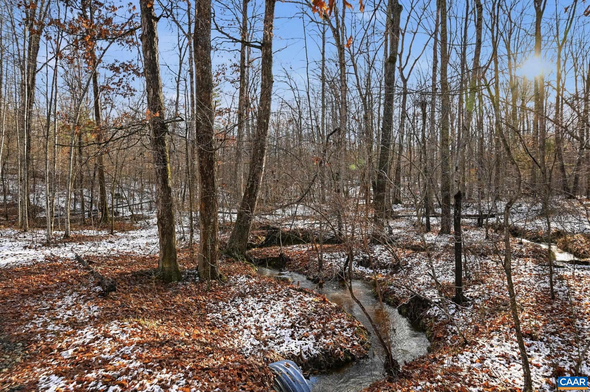 0 JUSTICE DR, GORDONSVILLE, Virginia 22942, ,Land,Tranquility,0 JUSTICE DR,674397 MLS # 674397 0 JUSTICE DR, GORDONSVILLE, Virginia 22942, ,Land,Tranquility,0 JUSTICE DR,674397 MLS # 674397