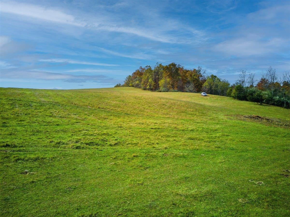 TBD OLD B AND O RD, RAPHINE, Virginia 24472, ,Farm,Moore Hill,TBD OLD B AND O RD,674399 MLS # 674399