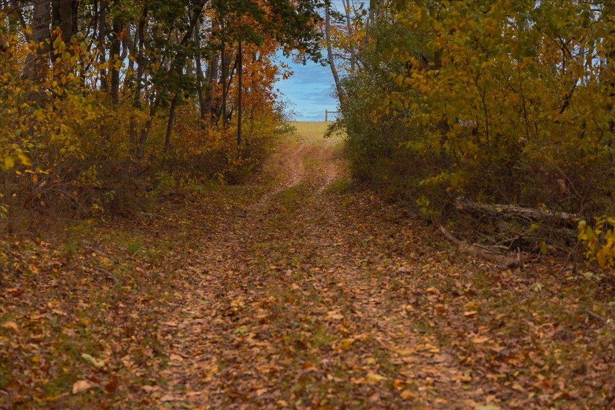 TBD OLD B AND O RD, RAPHINE, Virginia 24472, ,Farm,Moore Hill,TBD OLD B AND O RD,674399 MLS # 674399