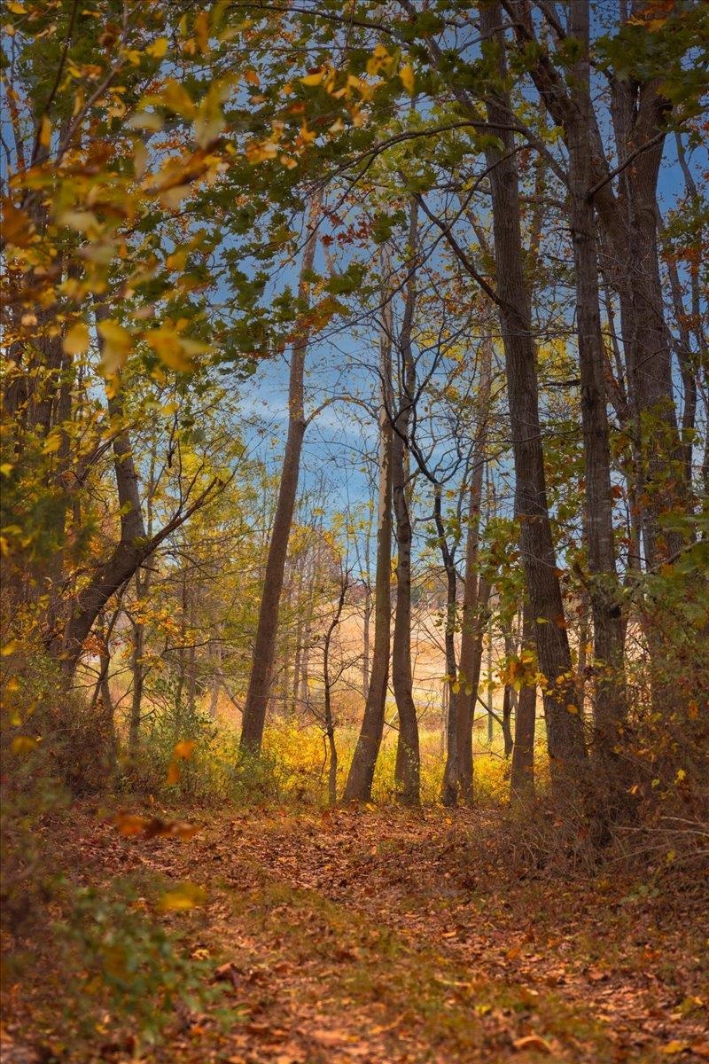 TBD OLD B AND O RD, RAPHINE, Virginia 24472, ,Farm,Moore Hill,TBD OLD B AND O RD,674399 MLS # 674399