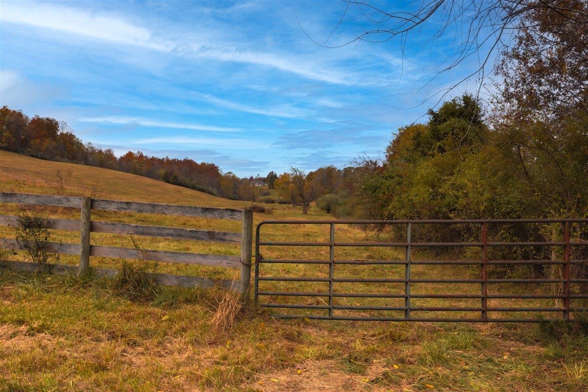 TBD OLD B AND O RD, RAPHINE, Virginia 24472, ,Farm,Moore Hill,TBD OLD B AND O RD,674399 MLS # 674399