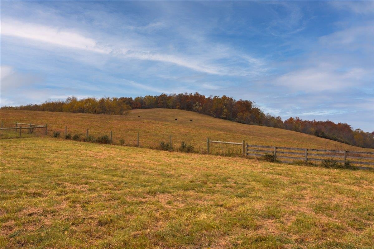 TBD OLD B AND O RD, RAPHINE, Virginia 24472, ,Farm,Moore Hill,TBD OLD B AND O RD,674399 MLS # 674399