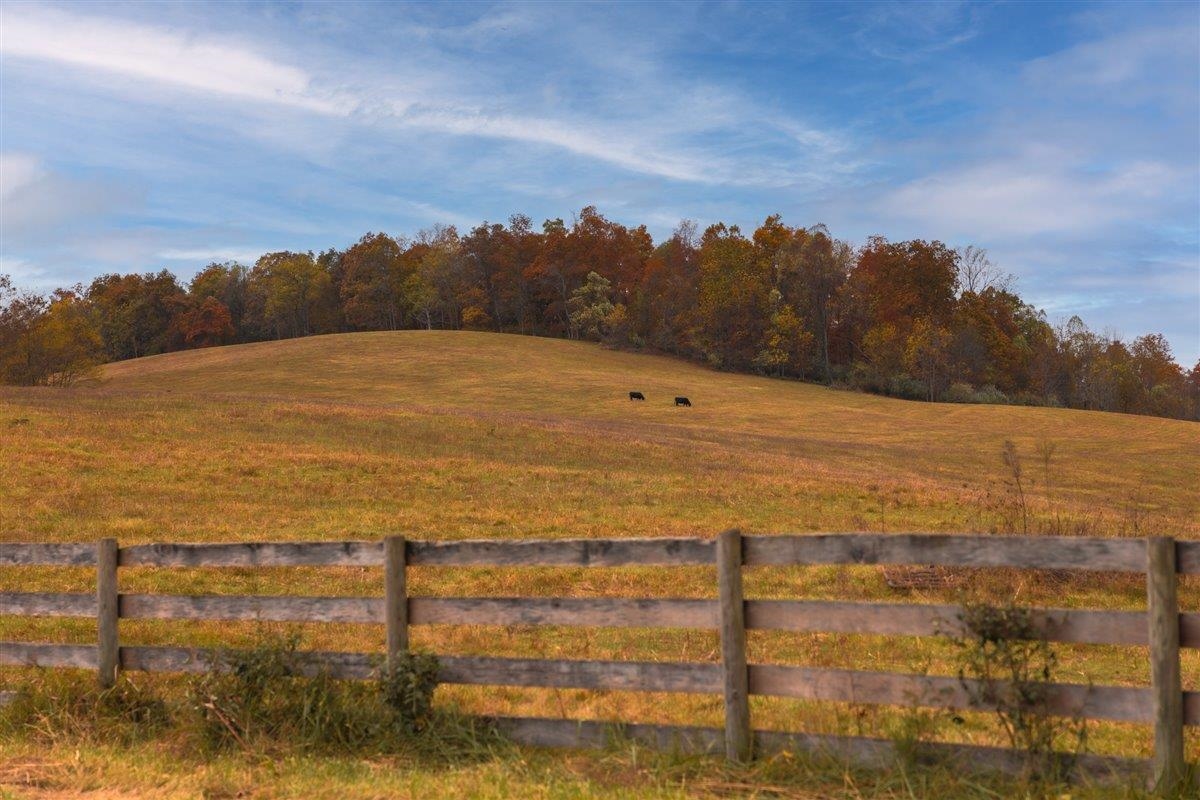 TBD OLD B AND O RD, RAPHINE, Virginia 24472, ,Farm,Moore Hill,TBD OLD B AND O RD,674399 MLS # 674399