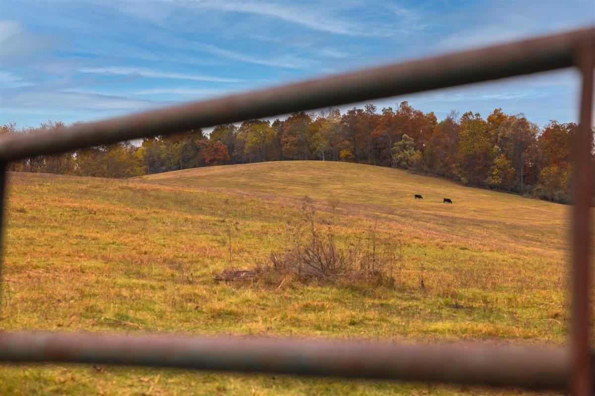 TBD OLD B AND O RD, RAPHINE, Virginia 24472, ,Farm,Moore Hill,TBD OLD B AND O RD,674399 MLS # 674399