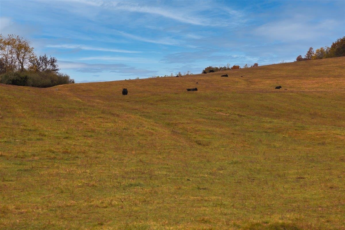 TBD OLD B AND O RD, RAPHINE, Virginia 24472, ,Farm,Moore Hill,TBD OLD B AND O RD,674399 MLS # 674399