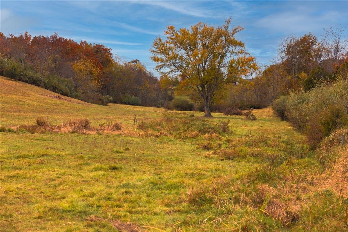 TBD OLD B AND O RD, RAPHINE, Virginia 24472, ,Farm,Moore Hill,TBD OLD B AND O RD,674399 MLS # 674399