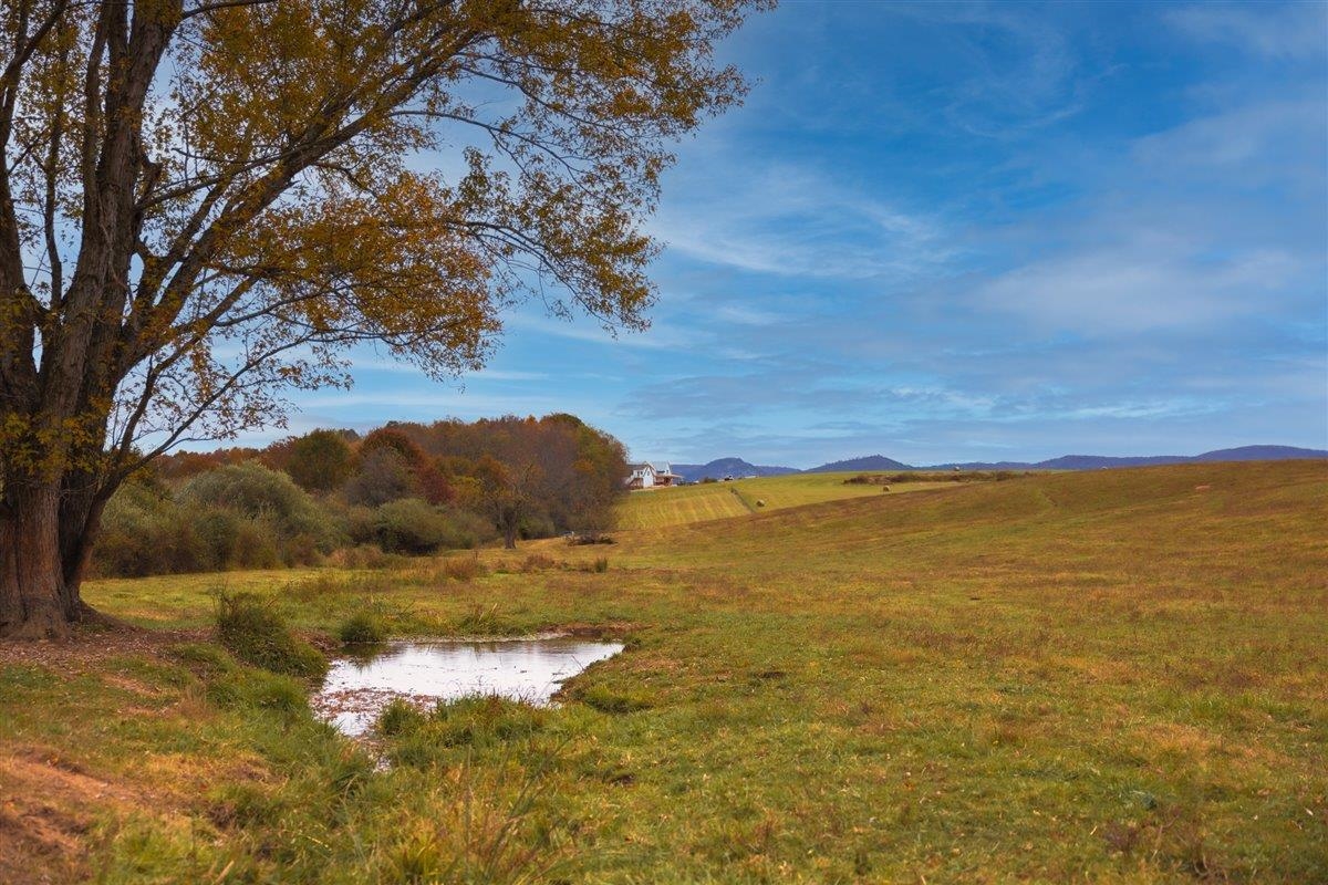 TBD OLD B AND O RD, RAPHINE, Virginia 24472, ,Farm,Moore Hill,TBD OLD B AND O RD,674399 MLS # 674399