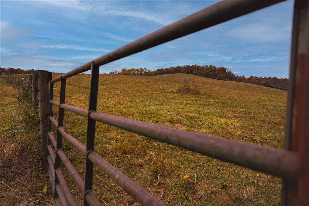 TBD OLD B AND O RD, RAPHINE, Virginia 24472, ,Farm,Moore Hill,TBD OLD B AND O RD,674399 MLS # 674399