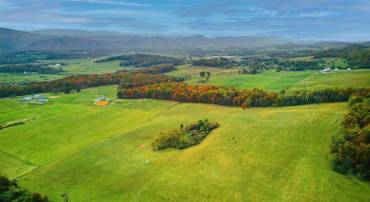 TBD OLD B AND O RD, RAPHINE, Virginia 24472, ,Farm,Moore Hill,TBD OLD B AND O RD,674399 MLS # 674399