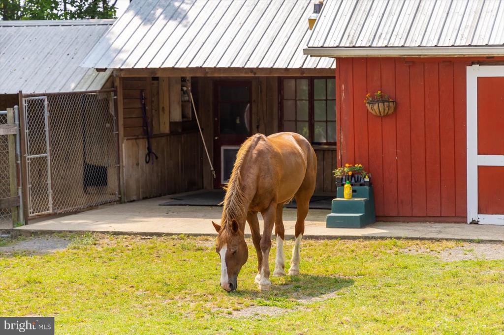 23494 VILLAGE RD, UNIONVILLE, Virginia 22567, 6 Bedrooms Bedrooms, ,4 BathroomsBathrooms,Residential,Lynn Haven Manor,23494 VILLAGE RD,VAOR2013488 MLS # VAOR2013488