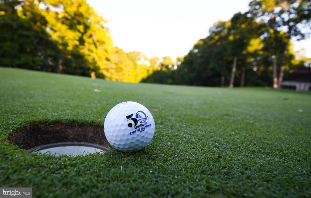 3201 LAKEVIEW PKWY, LOCUST GROVE, Virginia 22508, 3 Bedrooms Bedrooms, ,2 BathroomsBathrooms,Residential,LAKE OF THE WOODS ASSOCIATION,3201 LAKEVIEW PKWY,VAOR2013254 MLS # VAOR2013254