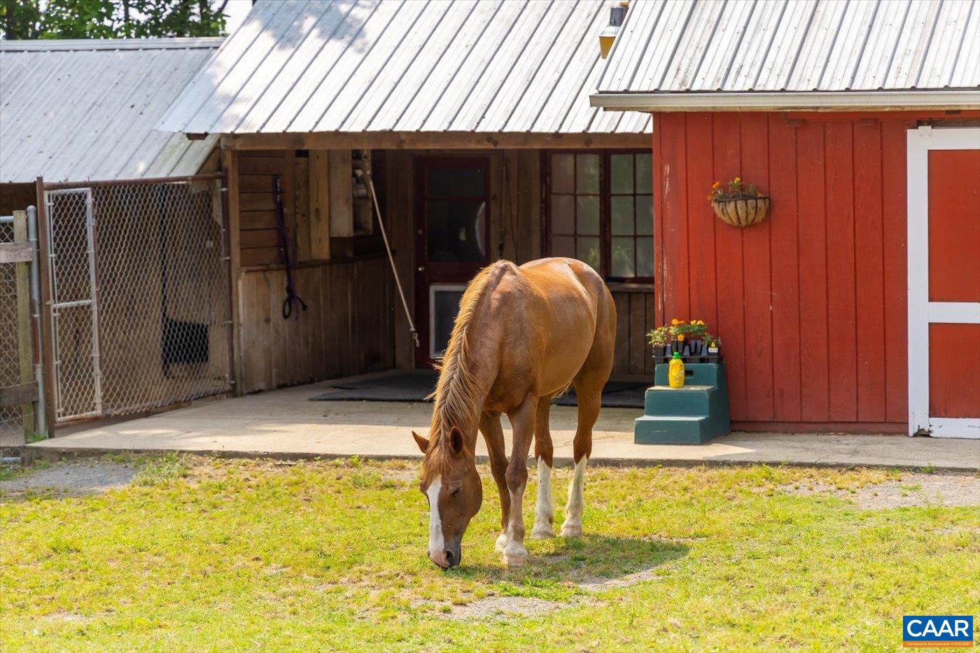 23494 VILLAGE RD, UNIONVILLE, Virginia 22567, 6 Bedrooms Bedrooms, ,4 BathroomsBathrooms,Residential,Lynn Haven Manor,23494 VILLAGE RD,673826 MLS # 673826