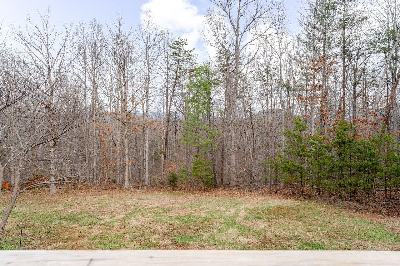 394 SPRINGBRANCH TRL, STANARDSVILLE, Virginia 22973, 3 Bedrooms Bedrooms, ,2 BathroomsBathrooms,Residential,394 SPRINGBRANCH TRL,674379 MLS # 674379