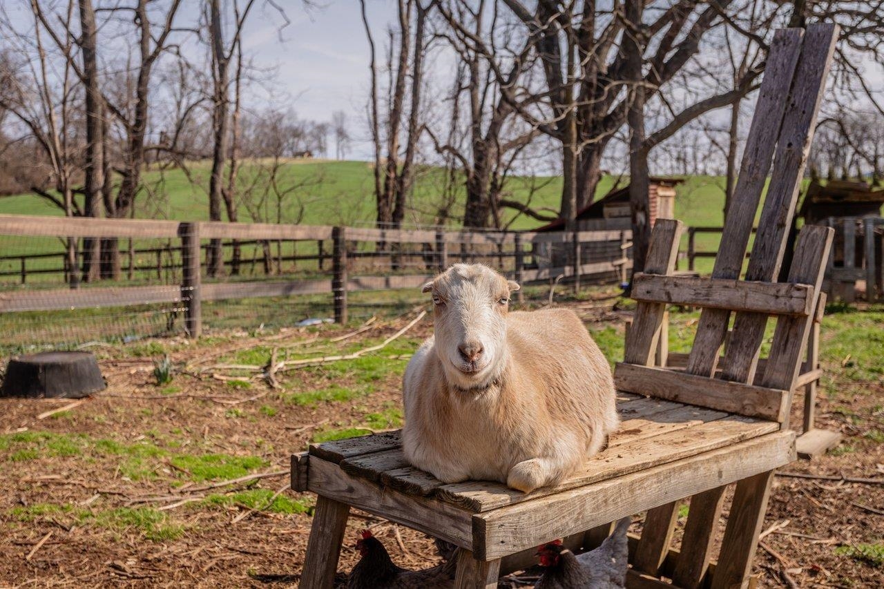 3844 STUARTS DRAFT HWY, WAYNESBORO, Virginia 22980, 3 Bedrooms Bedrooms, ,2 BathroomsBathrooms,Residential,3844 STUARTS DRAFT HWY,674391 MLS # 674391