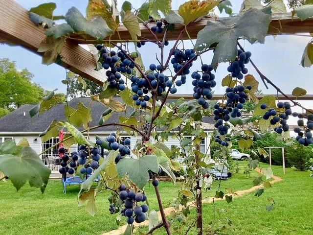 3844 STUARTS DRAFT HWY, WAYNESBORO, Virginia 22980, 3 Bedrooms Bedrooms, ,2 BathroomsBathrooms,Residential,3844 STUARTS DRAFT HWY,674391 MLS # 674391