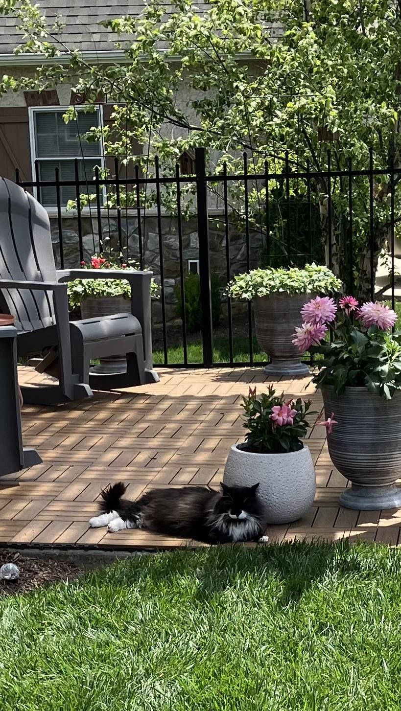 1744 HERITAGE ESTATES CIR, HARRISONBURG, Virginia 22801, 3 Bedrooms Bedrooms, ,3 BathroomsBathrooms,Residential,1744 HERITAGE ESTATES CIR,674398 MLS # 674398 1744 HERITAGE ESTATES CIR, HARRISONBURG, Virginia 22801, 3 Bedrooms Bedrooms, ,3 BathroomsBathrooms,Residential,1744 HERITAGE ESTATES CIR,674398 MLS # 674398