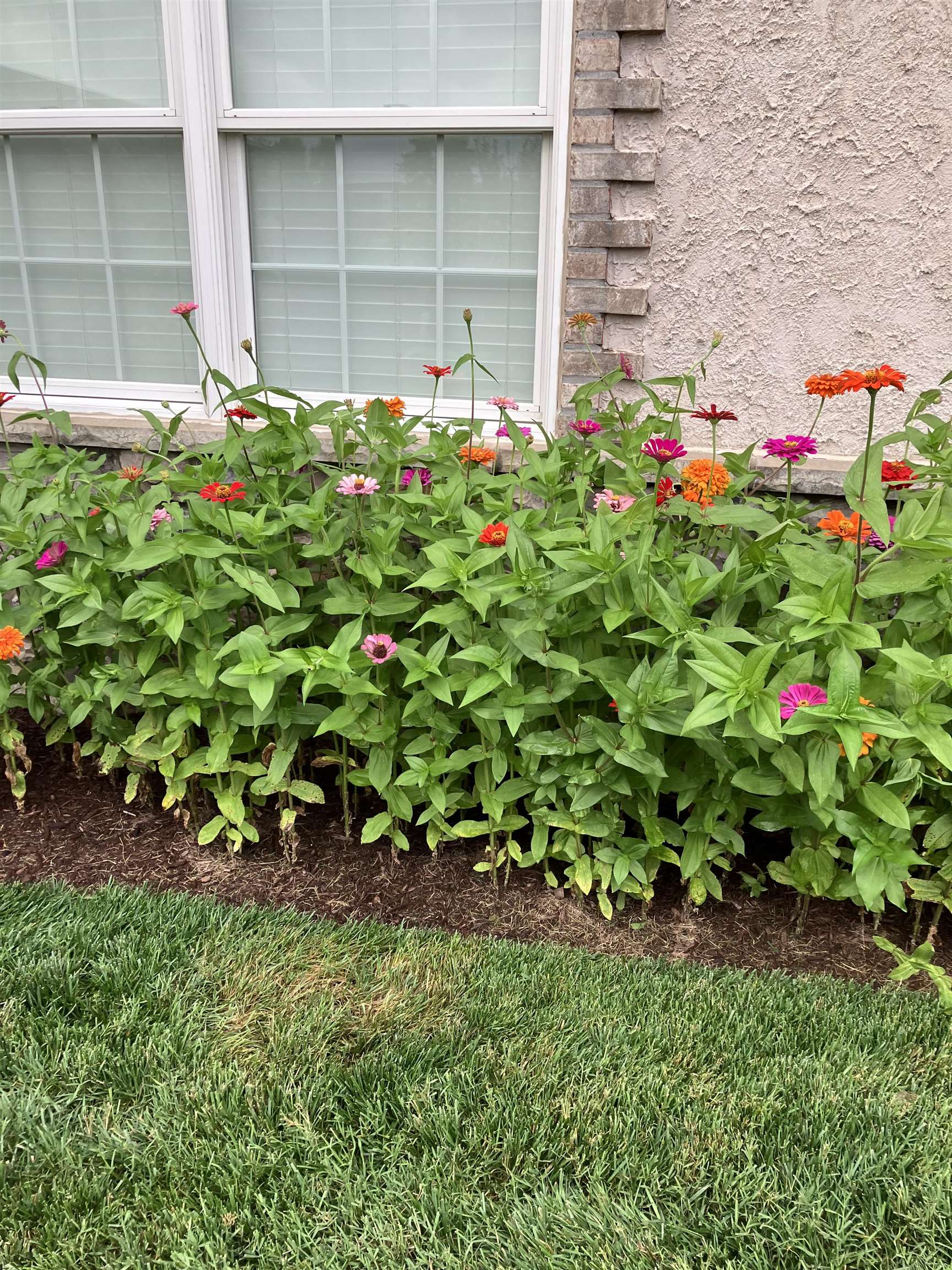 1744 HERITAGE ESTATES CIR, HARRISONBURG, Virginia 22801, 3 Bedrooms Bedrooms, ,3 BathroomsBathrooms,Residential,1744 HERITAGE ESTATES CIR,674398 MLS # 674398 1744 HERITAGE ESTATES CIR, HARRISONBURG, Virginia 22801, 3 Bedrooms Bedrooms, ,3 BathroomsBathrooms,Residential,1744 HERITAGE ESTATES CIR,674398 MLS # 674398