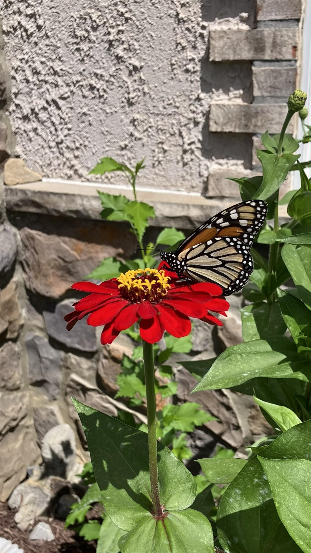 1744 HERITAGE ESTATES CIR, HARRISONBURG, Virginia 22801, 3 Bedrooms Bedrooms, ,3 BathroomsBathrooms,Residential,1744 HERITAGE ESTATES CIR,674398 MLS # 674398 1744 HERITAGE ESTATES CIR, HARRISONBURG, Virginia 22801, 3 Bedrooms Bedrooms, ,3 BathroomsBathrooms,Residential,1744 HERITAGE ESTATES CIR,674398 MLS # 674398