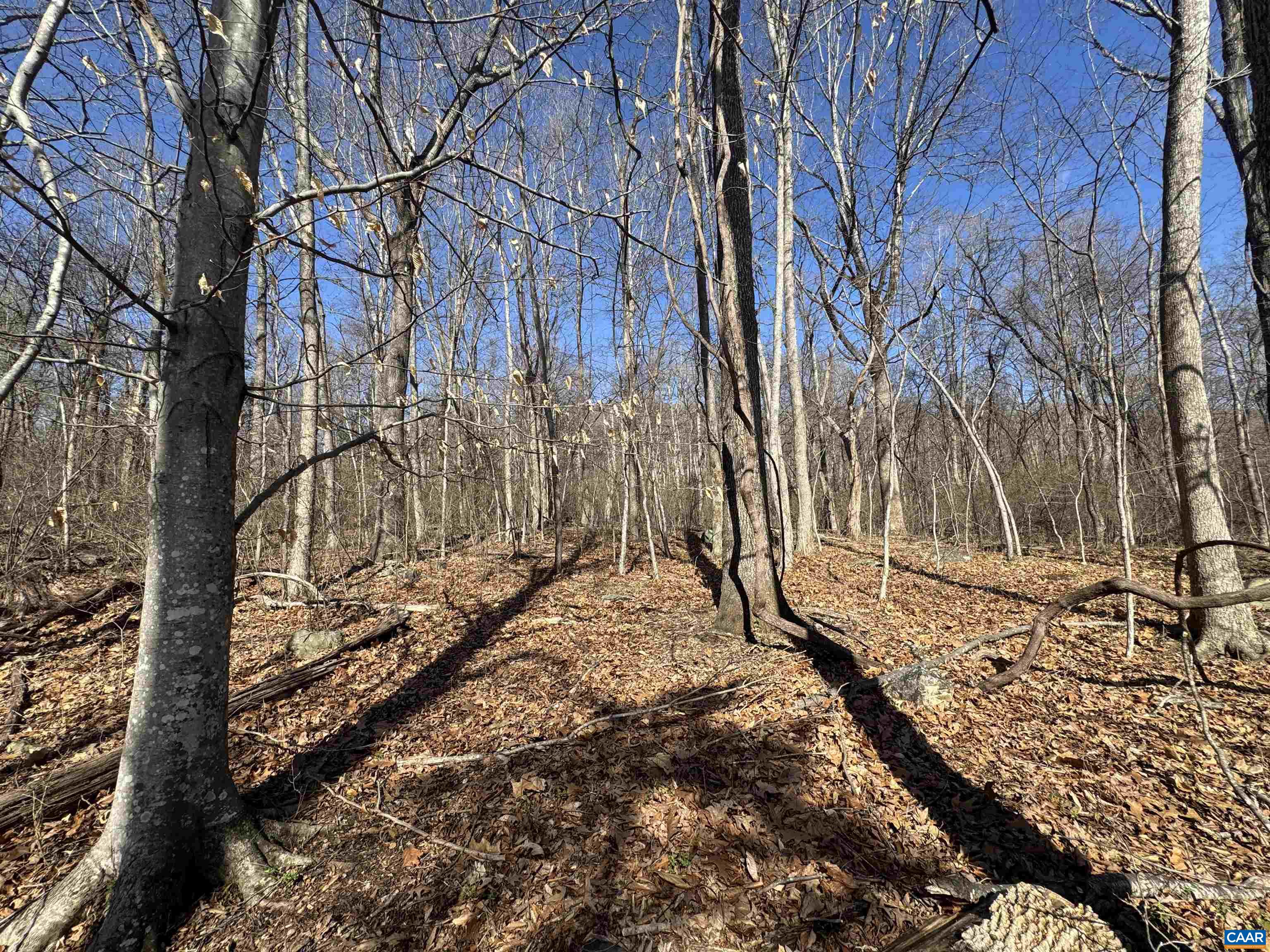 Lot 33 MONOCAN DR, NELLYSFORD, Virginia 22958, ,Land,Lot 33 MONOCAN DR,674412 MLS # 674412 Lot 33 MONOCAN DR, NELLYSFORD, Virginia 22958, ,Land,Lot 33 MONOCAN DR,674412 MLS # 674412