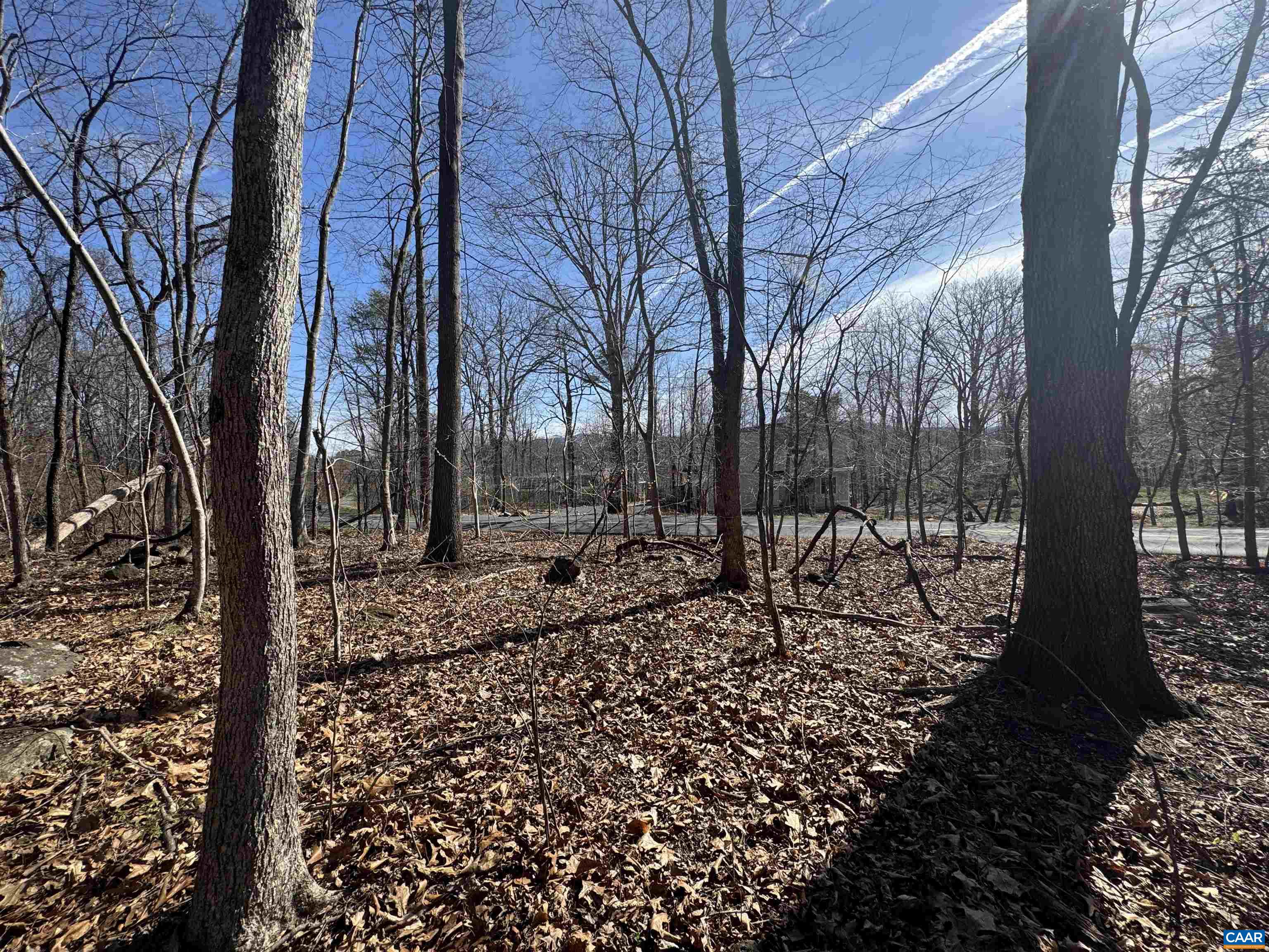 Lot 33 MONOCAN DR, NELLYSFORD, Virginia 22958, ,Land,Lot 33 MONOCAN DR,674412 MLS # 674412 Lot 33 MONOCAN DR, NELLYSFORD, Virginia 22958, ,Land,Lot 33 MONOCAN DR,674412 MLS # 674412