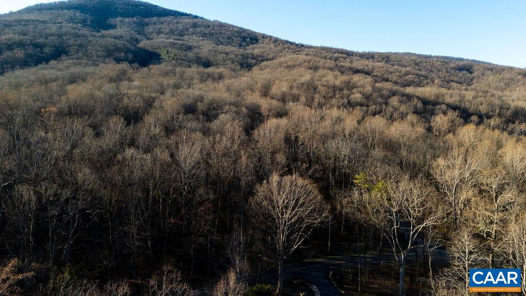 Lot 33 MONOCAN DR, NELLYSFORD, Virginia 22958, ,Land,Lot 33 MONOCAN DR,674412 MLS # 674412 Lot 33 MONOCAN DR, NELLYSFORD, Virginia 22958, ,Land,Lot 33 MONOCAN DR,674412 MLS # 674412