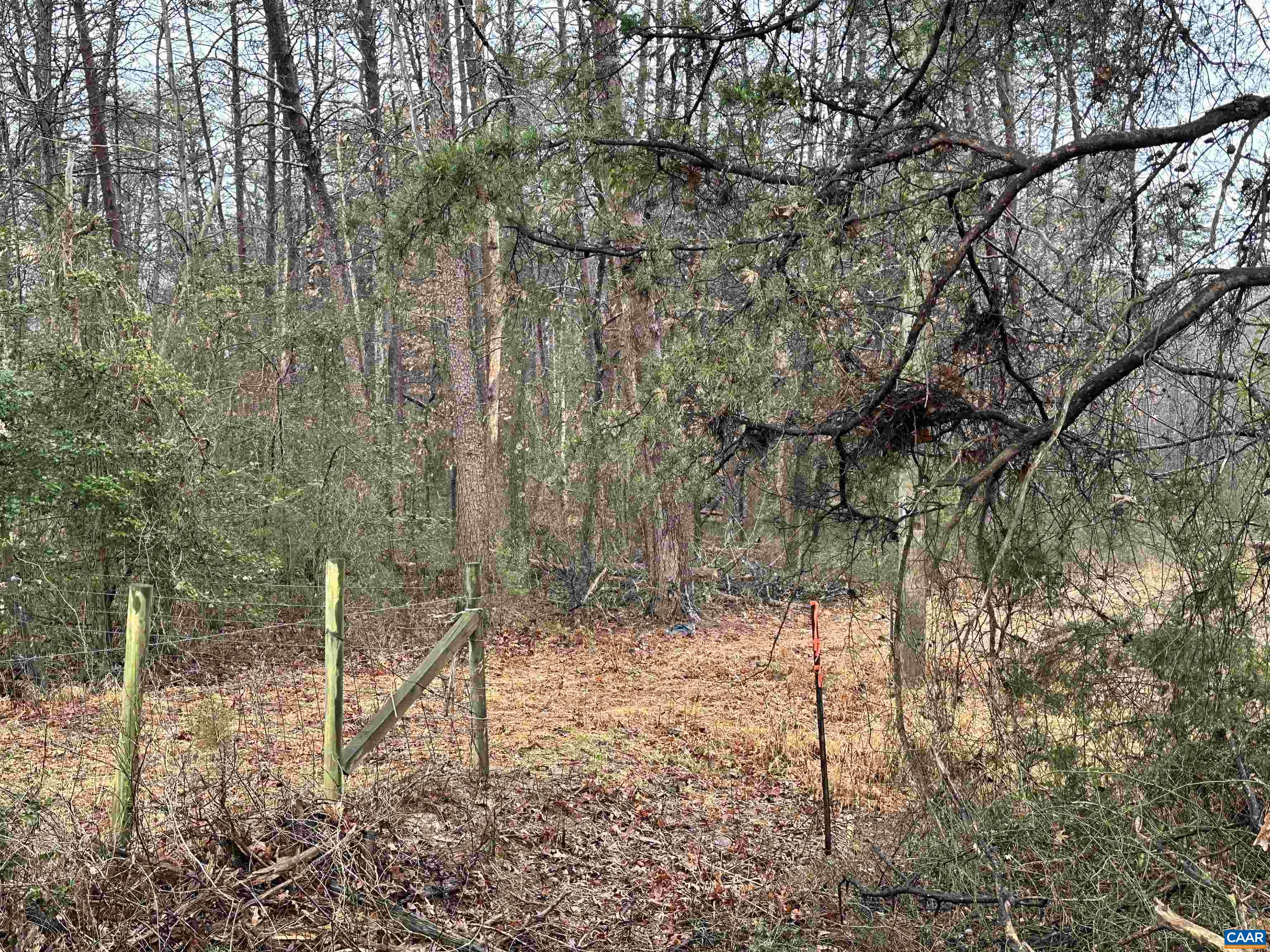 0 ELLY RD, ARODA, Virginia 22709, ,Land,0 ELLY RD,674426 MLS # 674426