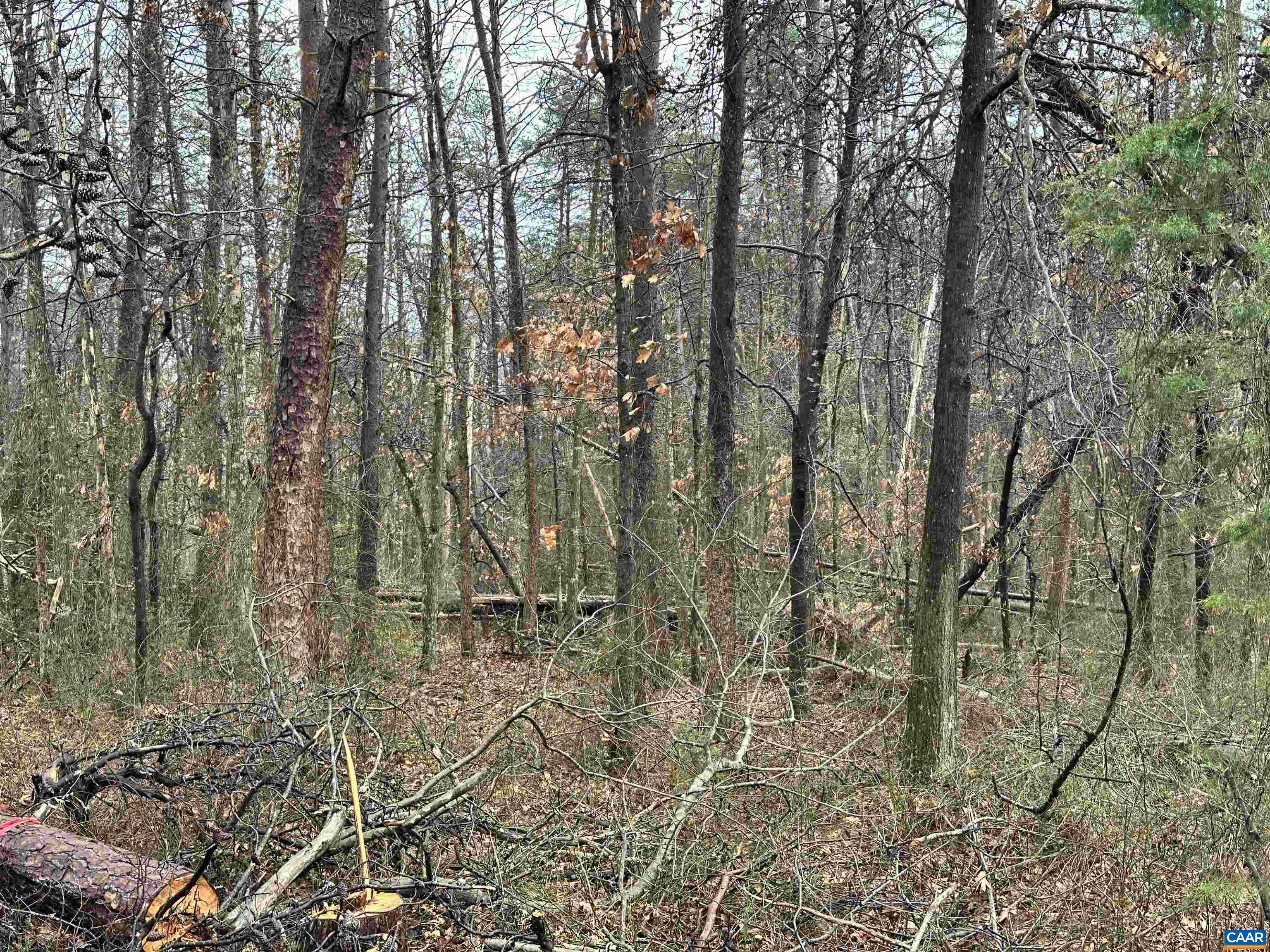 0 ELLY RD, ARODA, Virginia 22709, ,Land,0 ELLY RD,674426 MLS # 674426