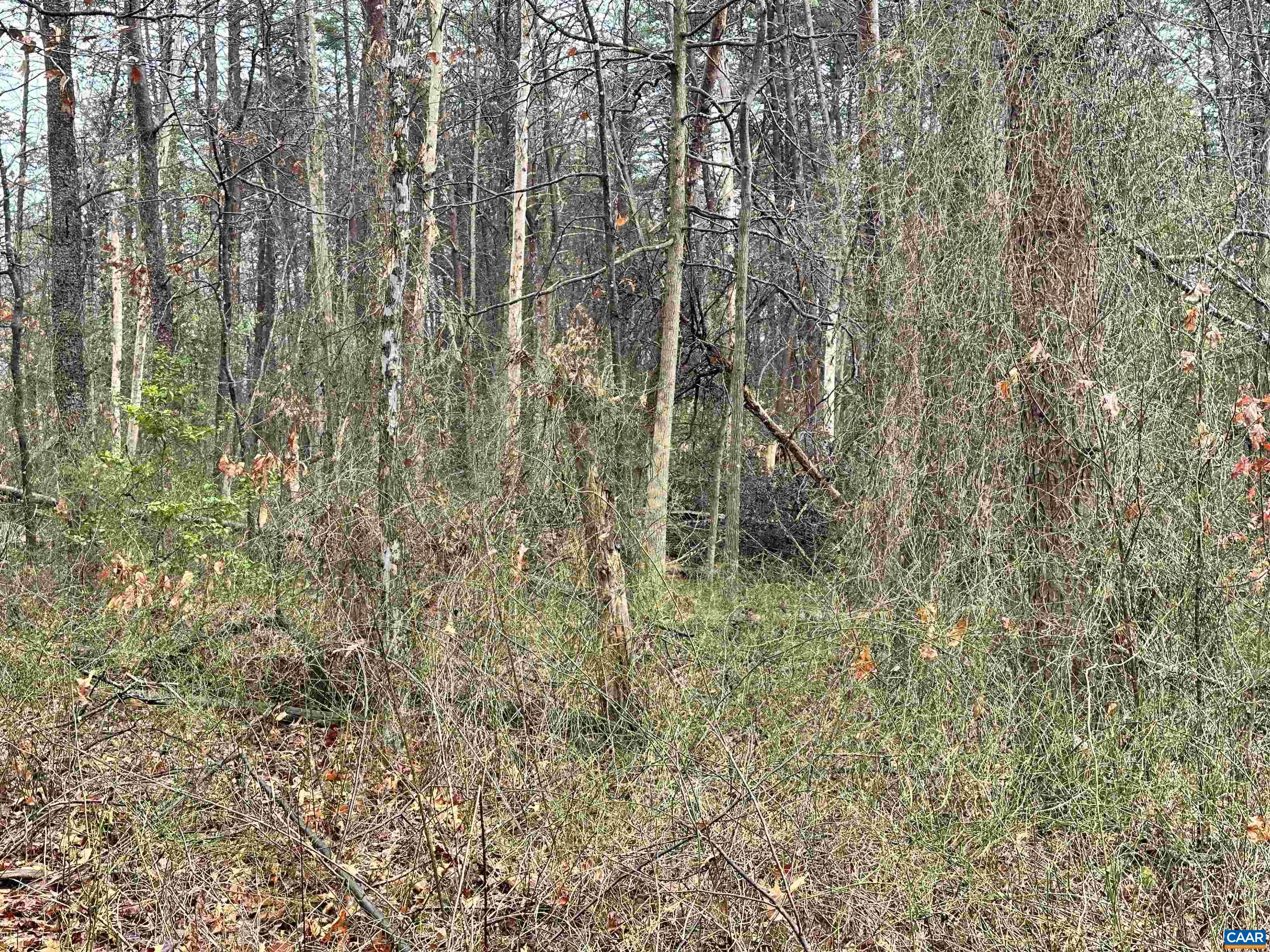 0 ELLY RD, ARODA, Virginia 22709, ,Land,0 ELLY RD,674426 MLS # 674426