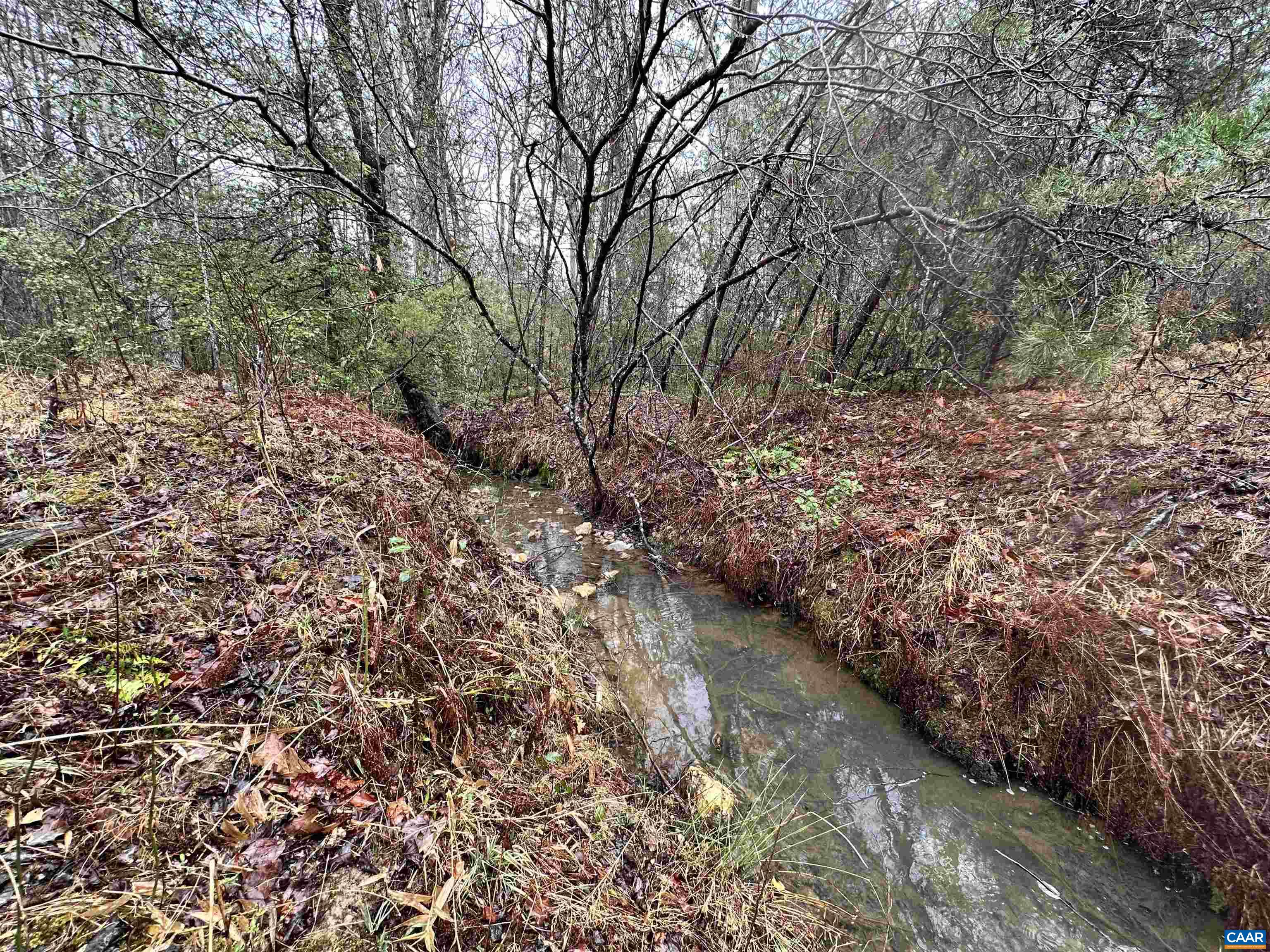 0 ELLY RD, ARODA, Virginia 22709, ,Land,0 ELLY RD,674426 MLS # 674426