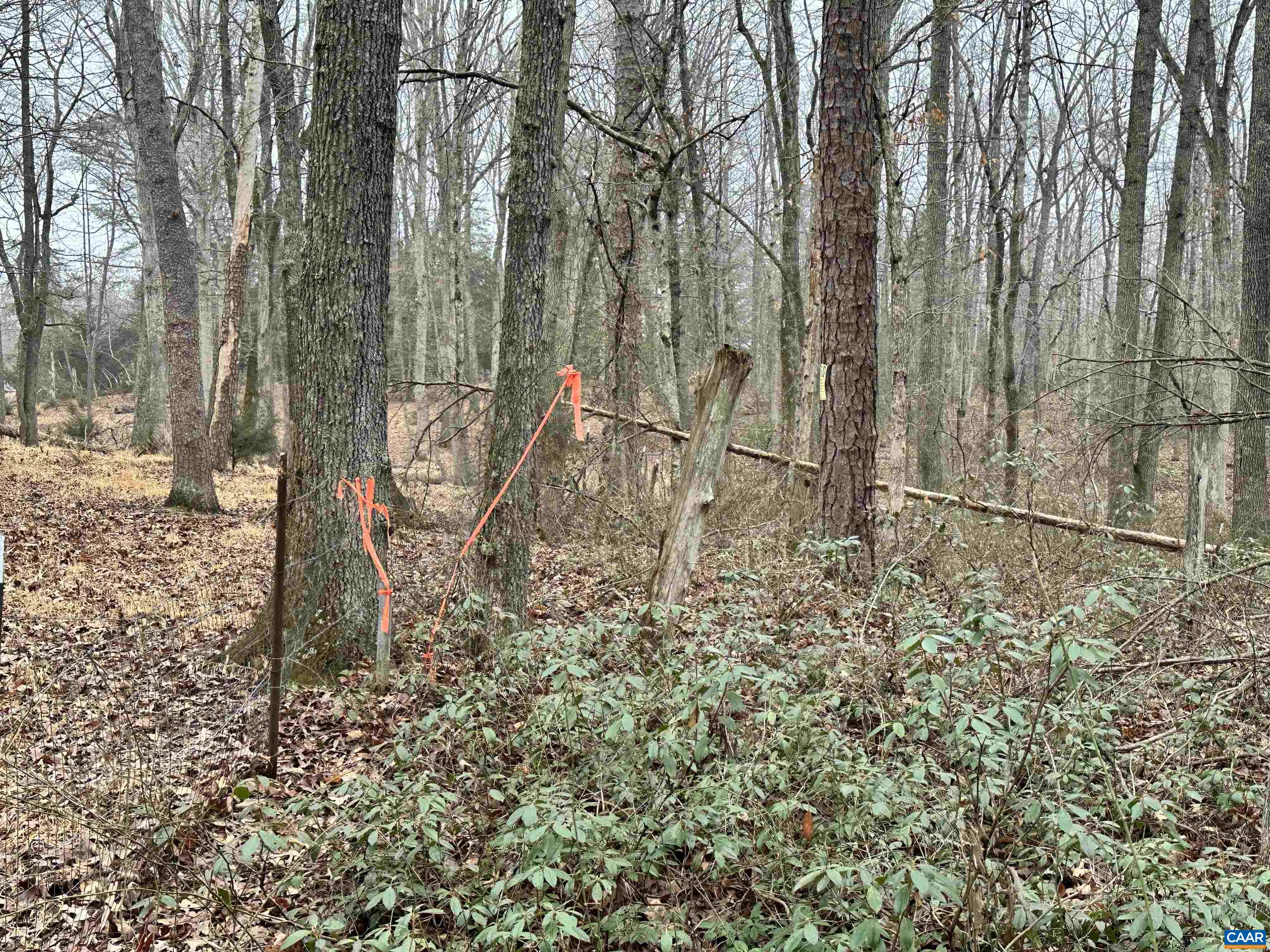 0 ELLY RD, ARODA, Virginia 22709, ,Land,0 ELLY RD,674426 MLS # 674426