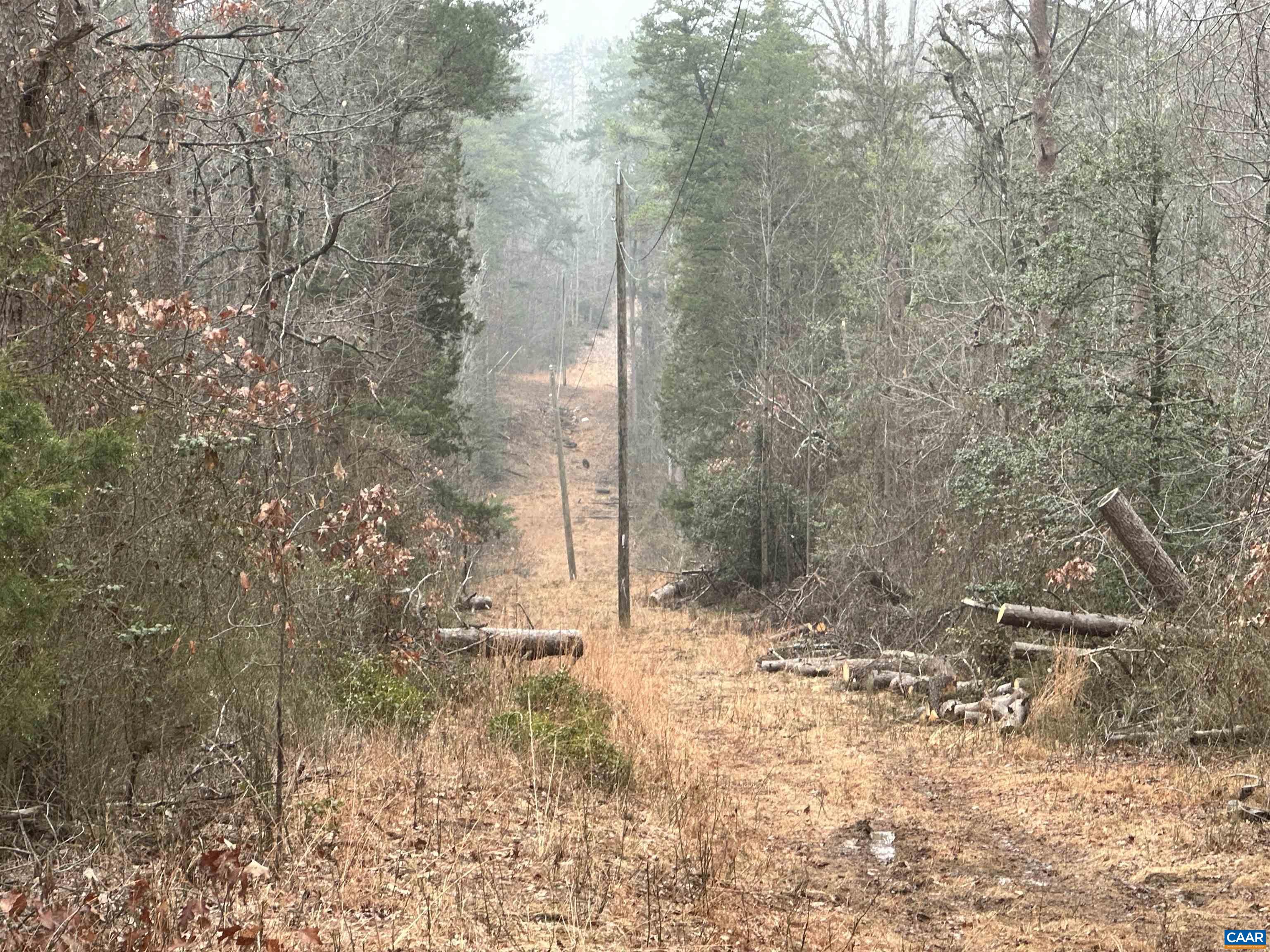 0 ELLY RD, ARODA, Virginia 22709, ,Land,0 ELLY RD,674426 MLS # 674426