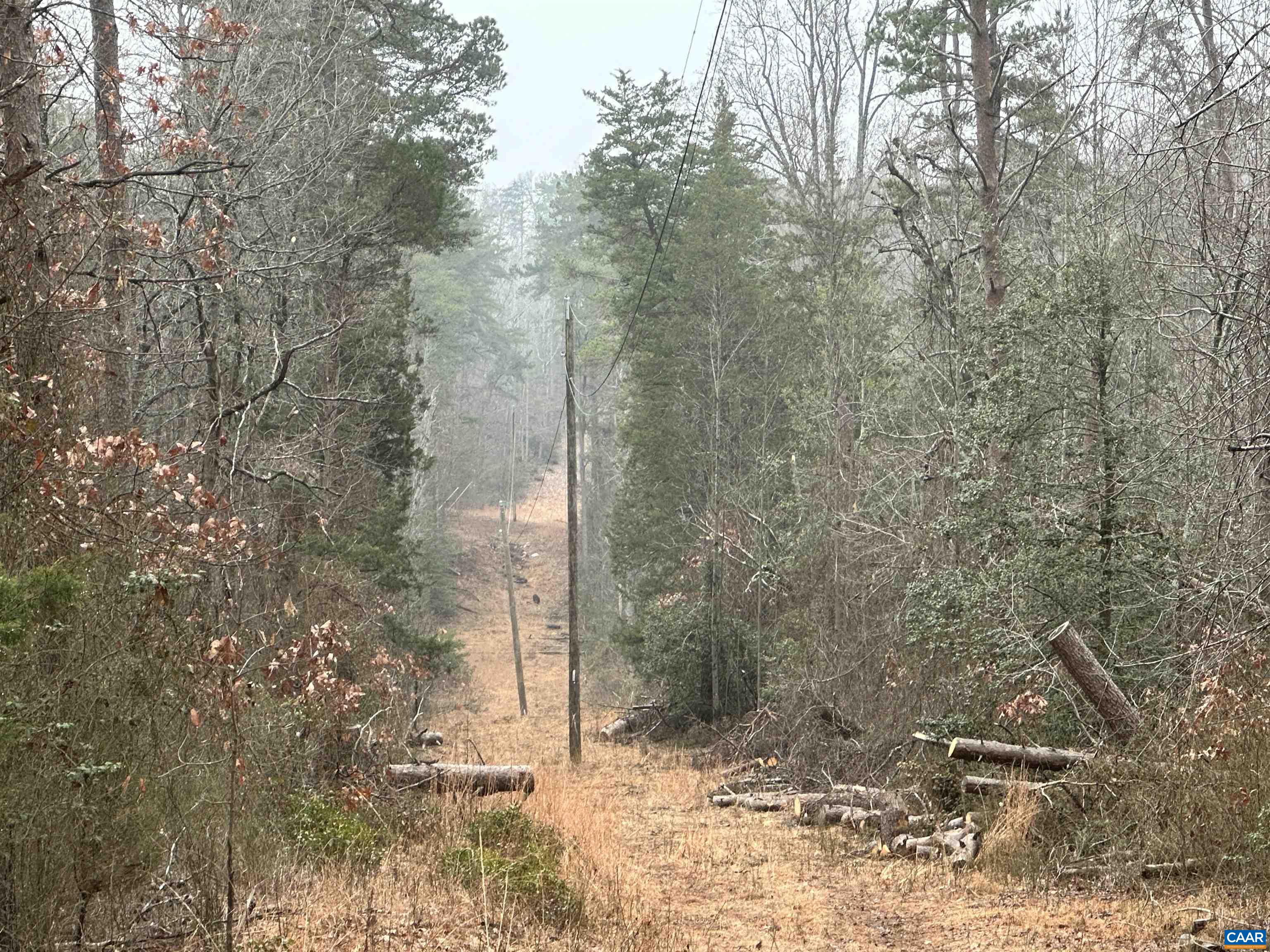 0 ELLY RD, ARODA, Virginia 22709, ,Land,0 ELLY RD,674426 MLS # 674426