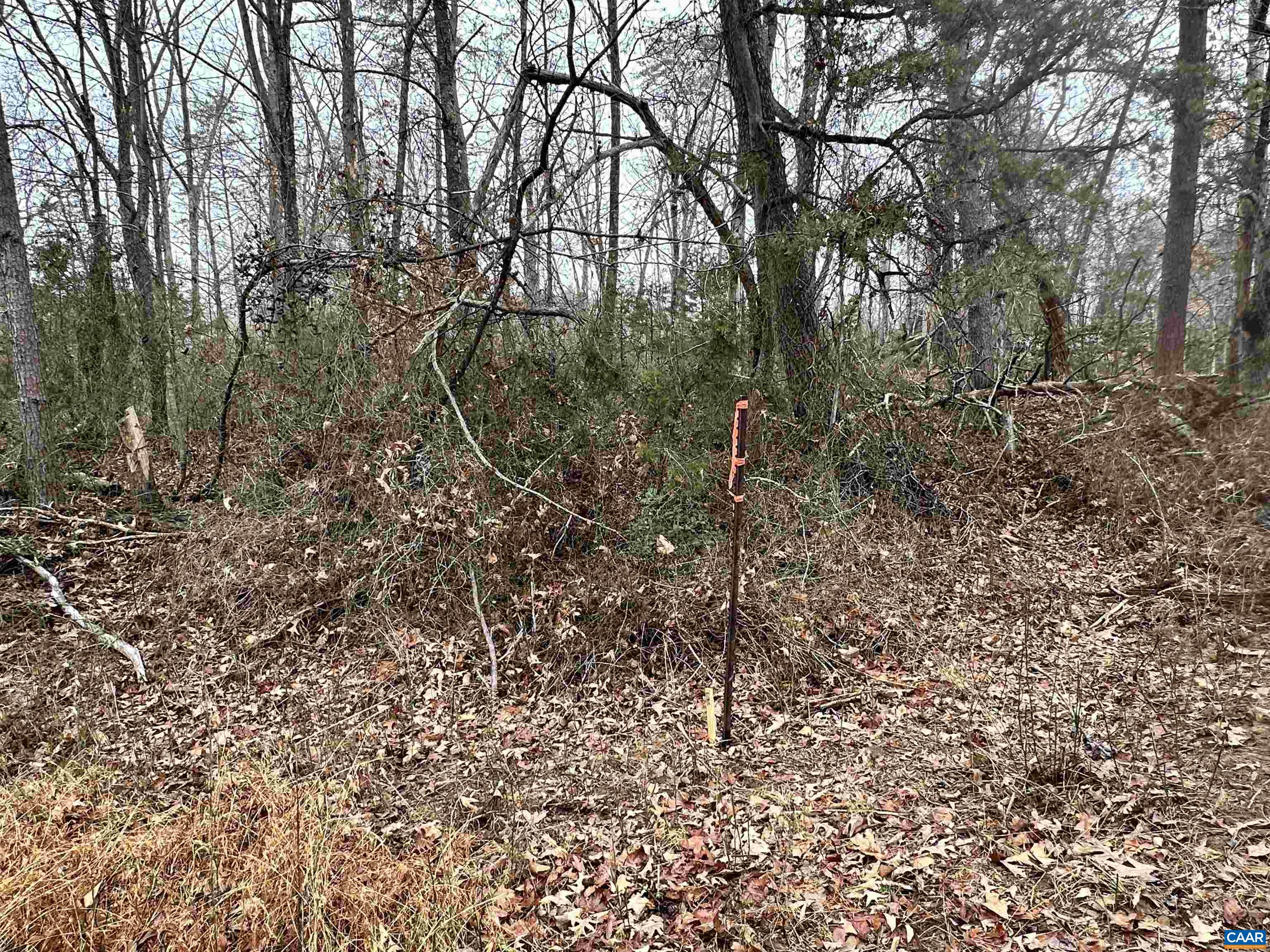 0 ELLY RD, ARODA, Virginia 22709, ,Land,0 ELLY RD,674426 MLS # 674426