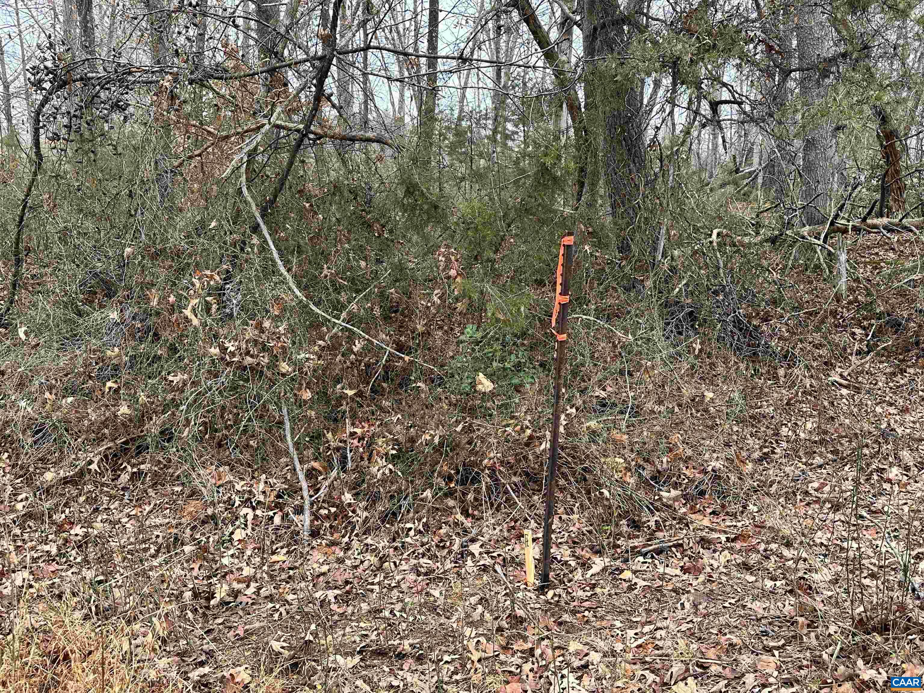 0 ELLY RD, ARODA, Virginia 22709, ,Land,0 ELLY RD,674426 MLS # 674426