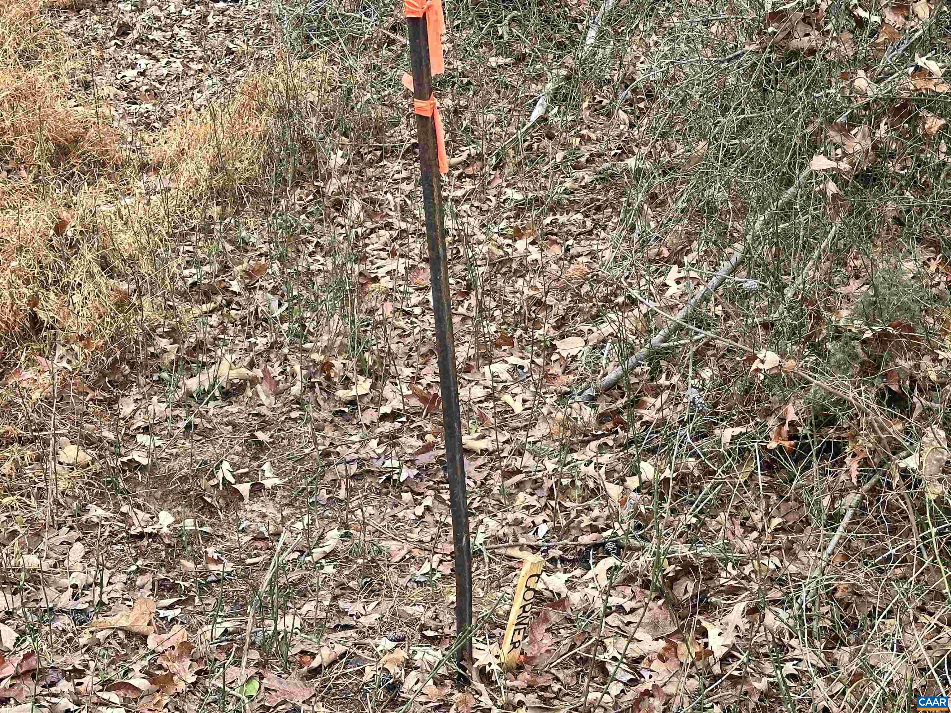 0 ELLY RD, ARODA, Virginia 22709, ,Land,0 ELLY RD,674426 MLS # 674426