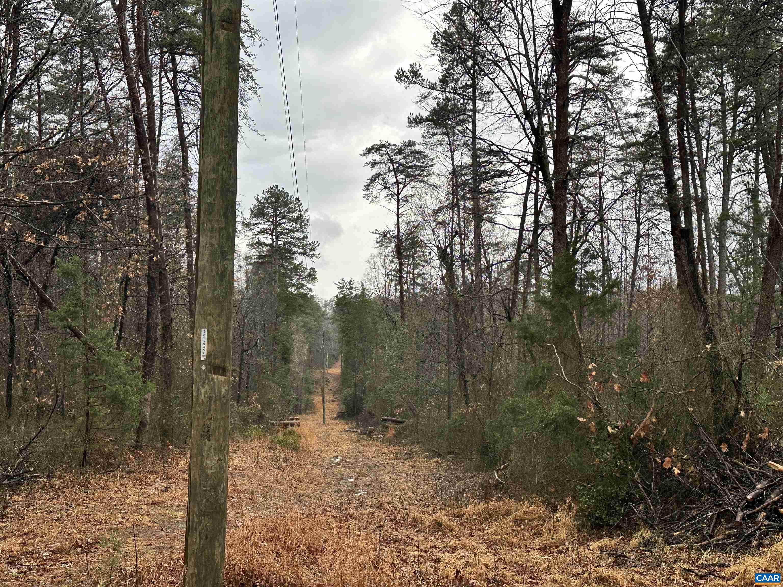 Running along edge of lot. Property is to the left.