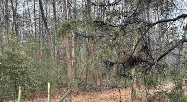 Property starts here.