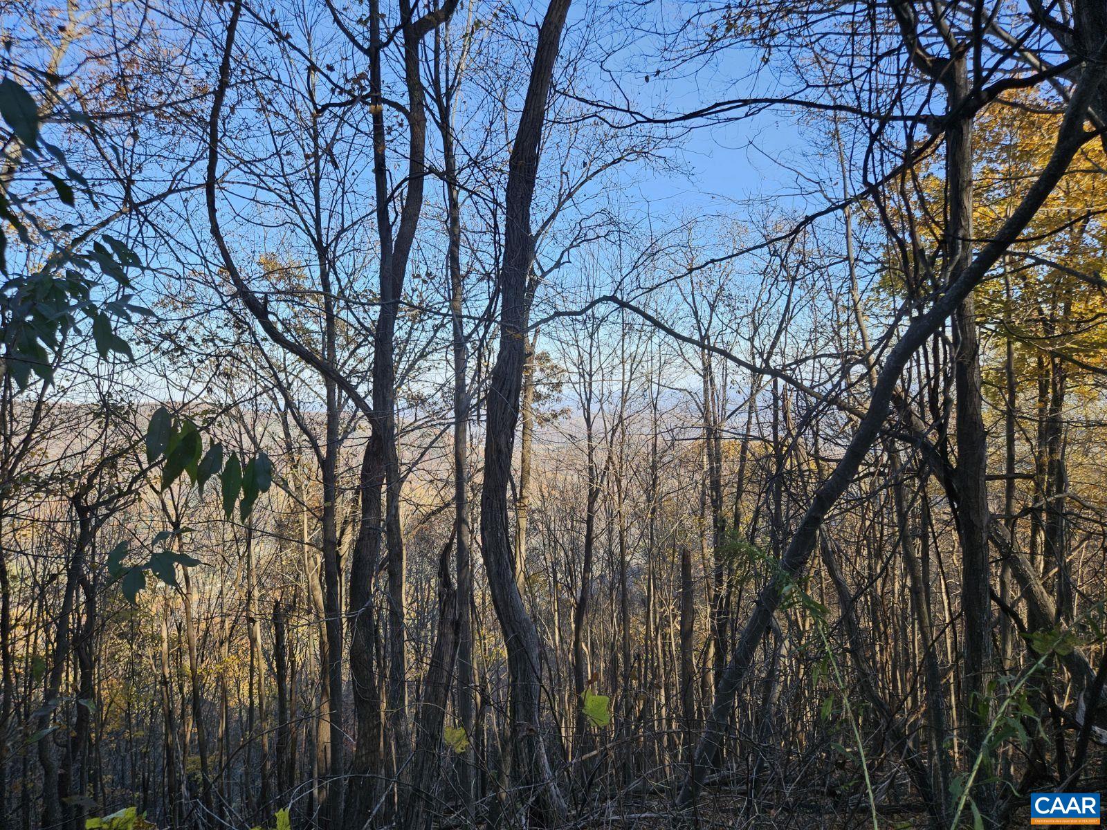 TBD Lot 17 & 18 SPRING BRANCH LN, FREE UNION, Virginia 22940, ,Land,TBD Lot 17 & 18 SPRING BRANCH LN,674431 MLS # 674431