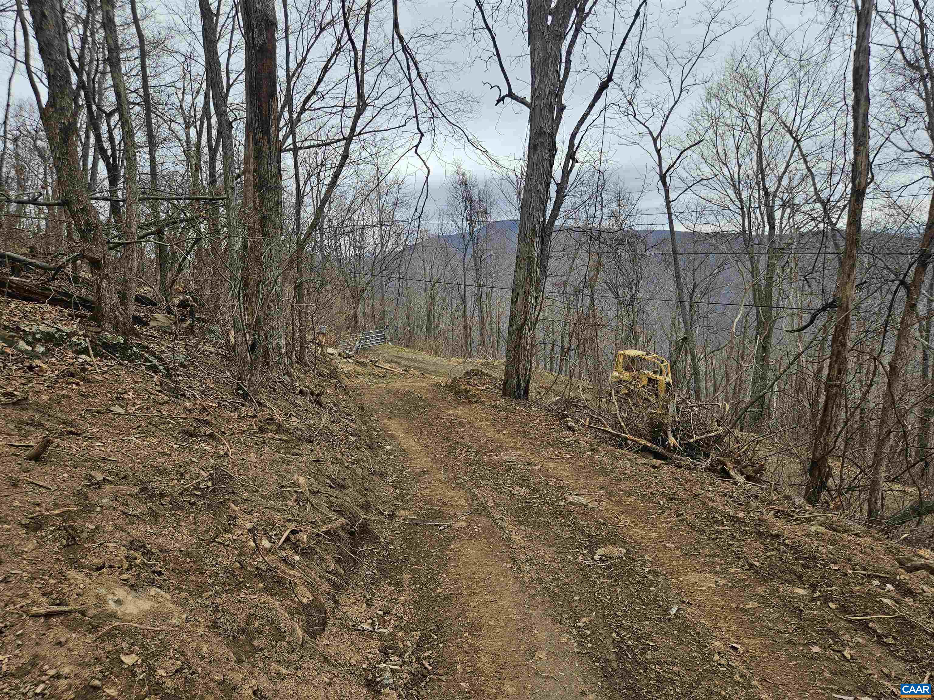 TBD Lot 17 & 18 SPRING BRANCH LN, FREE UNION, Virginia 22940, ,Land,TBD Lot 17 & 18 SPRING BRANCH LN,674431 MLS # 674431