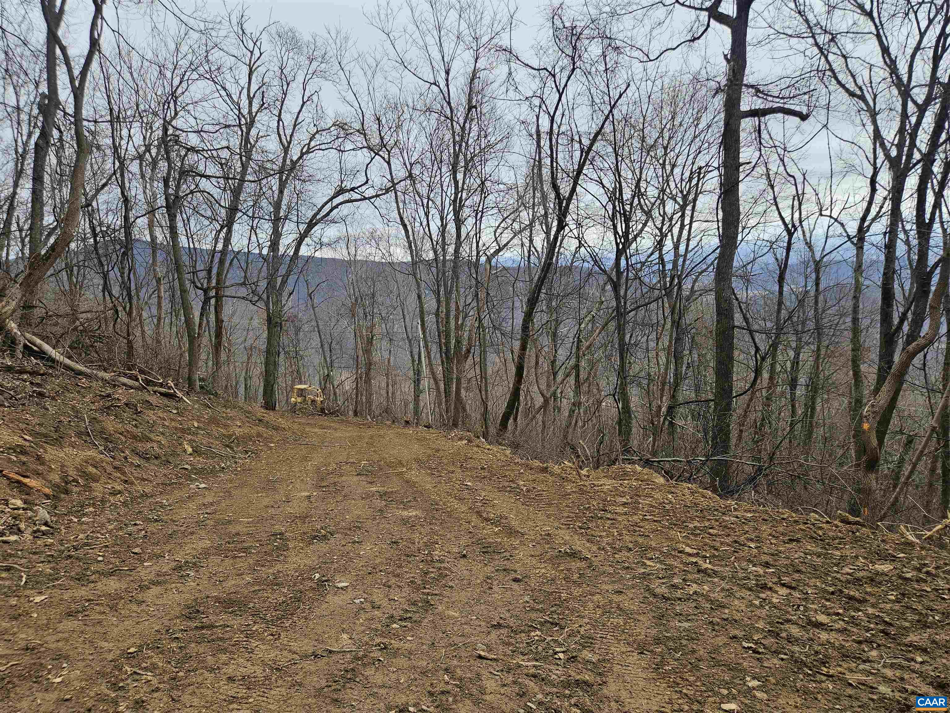 TBD Lot 17 & 18 SPRING BRANCH LN, FREE UNION, Virginia 22940, ,Land,TBD Lot 17 & 18 SPRING BRANCH LN,674431 MLS # 674431