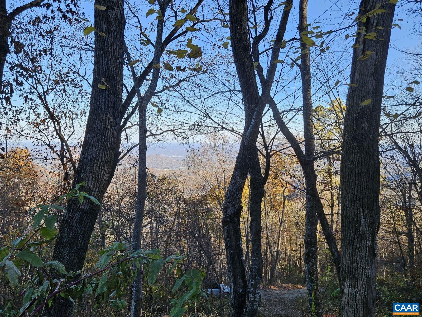 TBD Lot 17 & 18 SPRING BRANCH LN, FREE UNION, Virginia 22940, ,Land,TBD Lot 17 & 18 SPRING BRANCH LN,674431 MLS # 674431