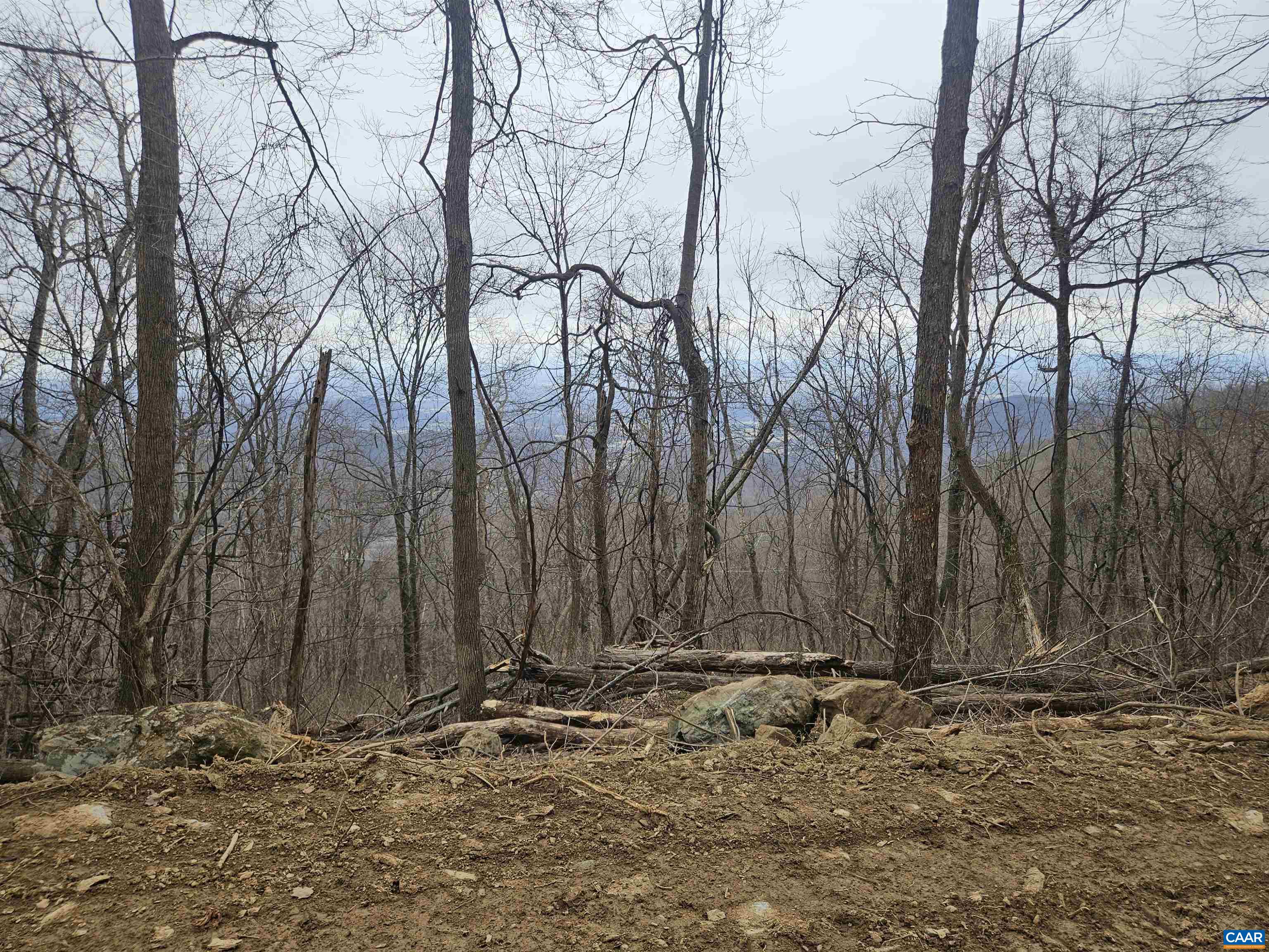 TBD Lot 17 & 18 SPRING BRANCH LN, FREE UNION, Virginia 22940, ,Land,TBD Lot 17 & 18 SPRING BRANCH LN,674431 MLS # 674431