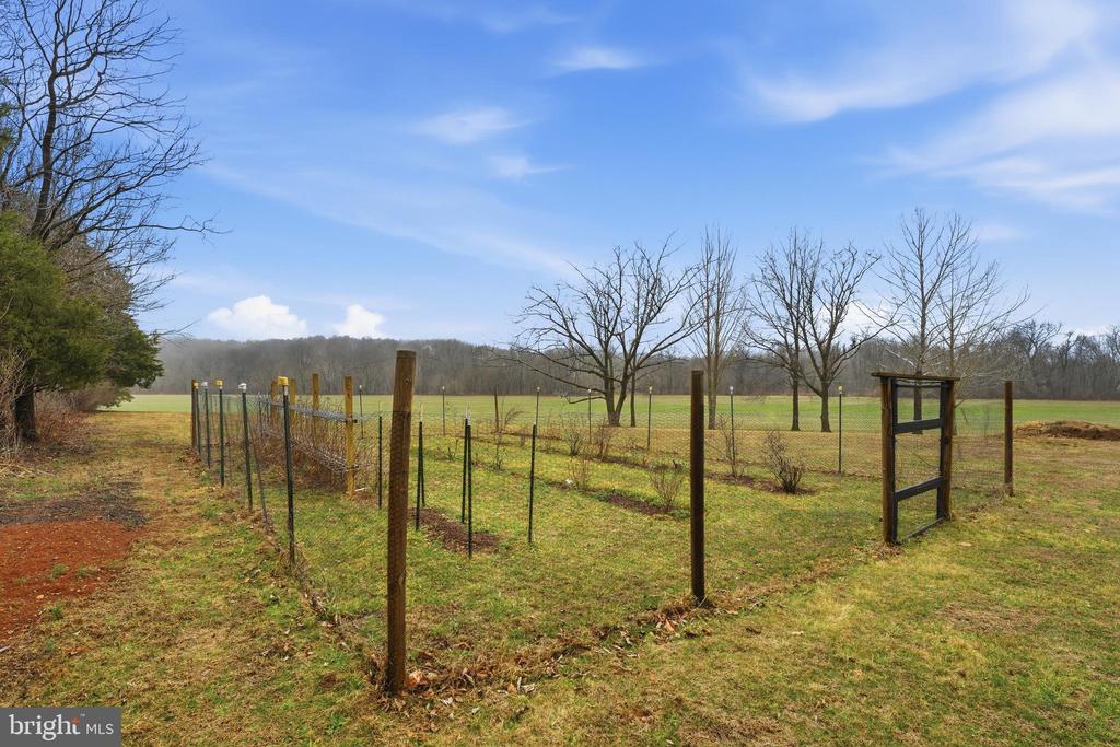 15403 FROGGY BOTTOM LN, RIXEYVILLE, Virginia 22737, 3 Bedrooms Bedrooms, ,2 BathroomsBathrooms,Residential,15403 FROGGY BOTTOM LN,VACU2012982 MLS # VACU2012982