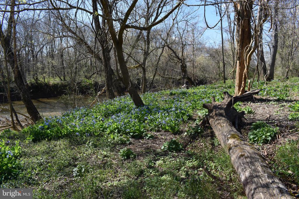 15403 FROGGY BOTTOM LN, RIXEYVILLE, Virginia 22737, 3 Bedrooms Bedrooms, ,2 BathroomsBathrooms,Residential,15403 FROGGY BOTTOM LN,VACU2012982 MLS # VACU2012982