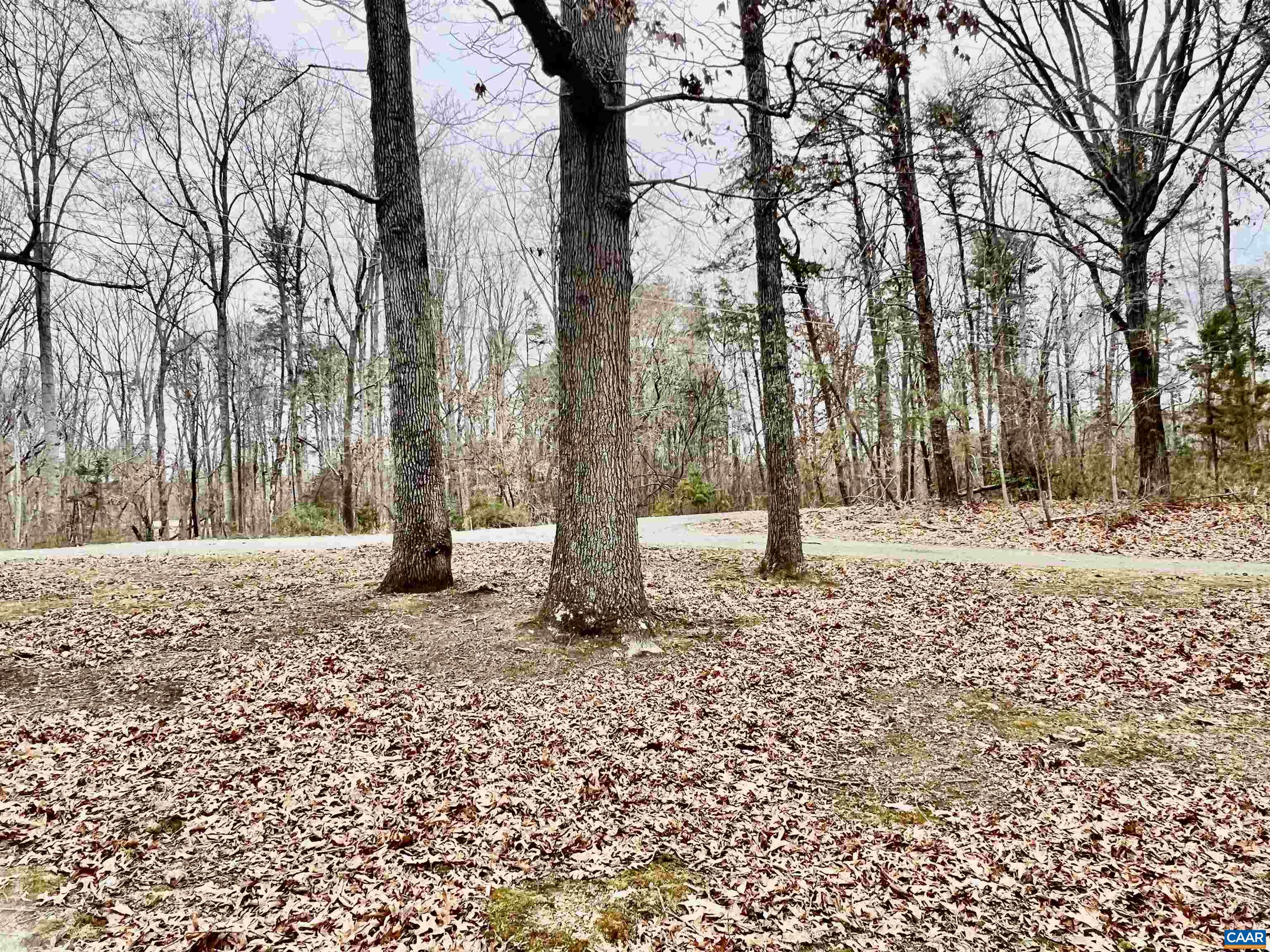 8955 LOUISA RD, GORDONSVILLE, Virginia 22942, 2 Bedrooms Bedrooms, ,1 BathroomBathrooms,Residential,8955 LOUISA RD,674430 MLS # 674430