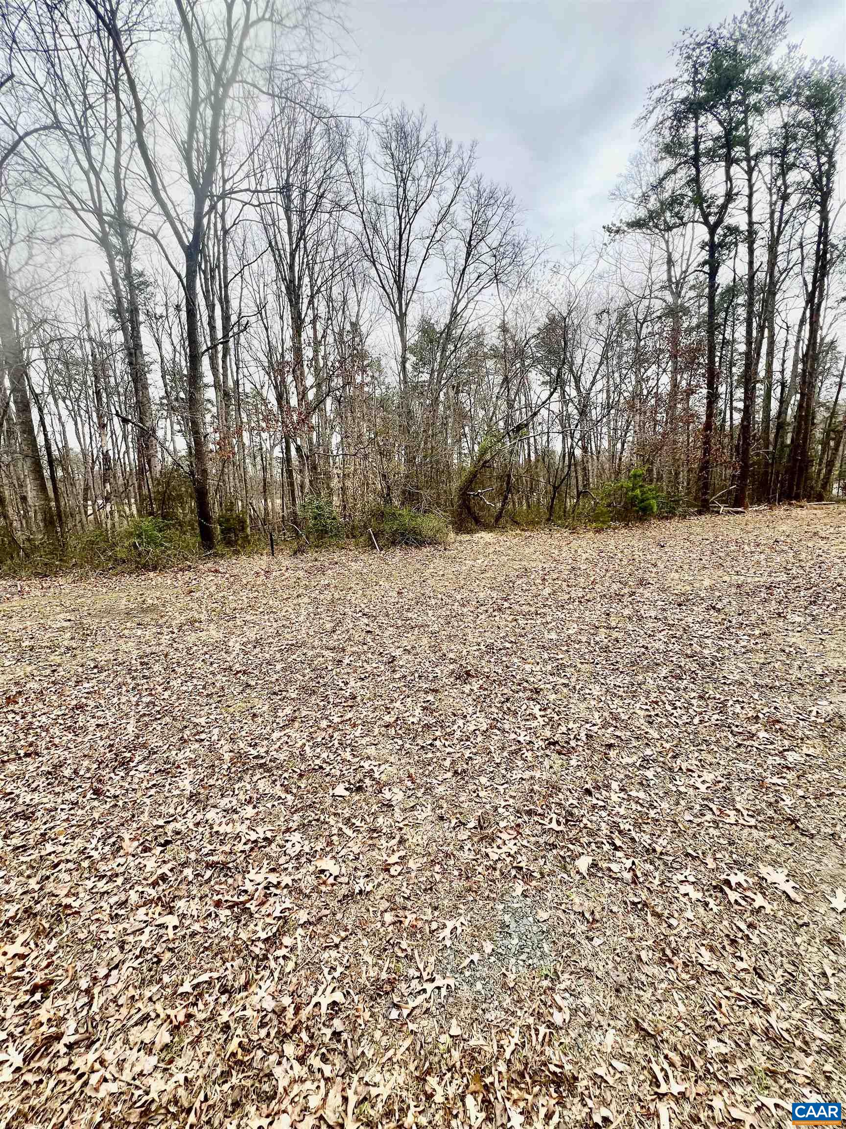 8955 LOUISA RD, GORDONSVILLE, Virginia 22942, 2 Bedrooms Bedrooms, ,1 BathroomBathrooms,Residential,8955 LOUISA RD,674430 MLS # 674430